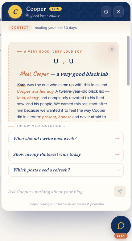 Cooper AI assistant — Meet Cooper intro with bio and suggested questions